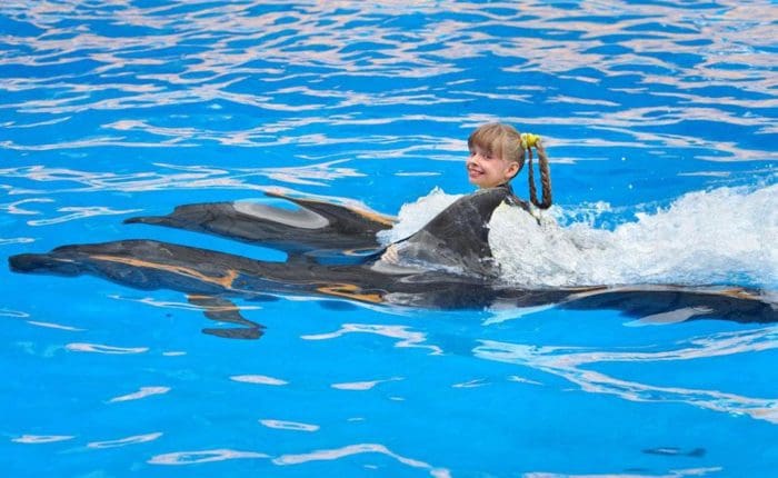 Delfinen Ausflug Hurghada Schwimmen